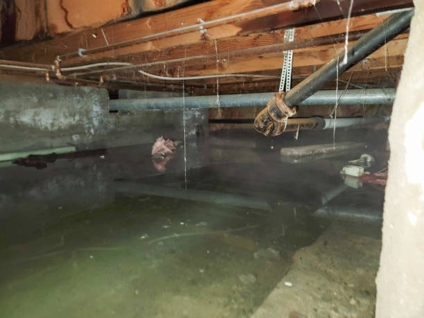 Best Water damage cleanup near me  in Glasgow, OR