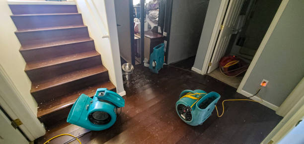 Best Basement water damage restoration  in Glasgow, OR