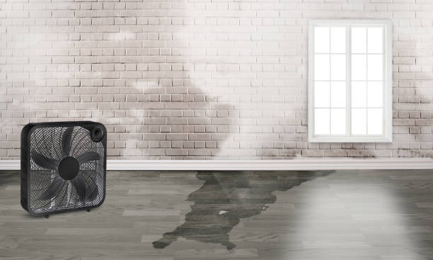  Glasgow, OR Water damage restoration Pros