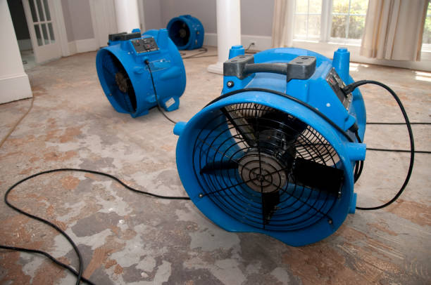 Reliable Glasgow, OR Water damage restoration Solutions