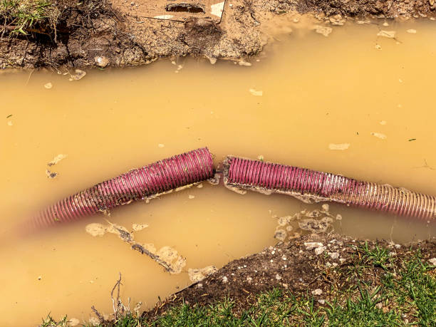 Best Flood damage cleanup  in Glasgow, OR
